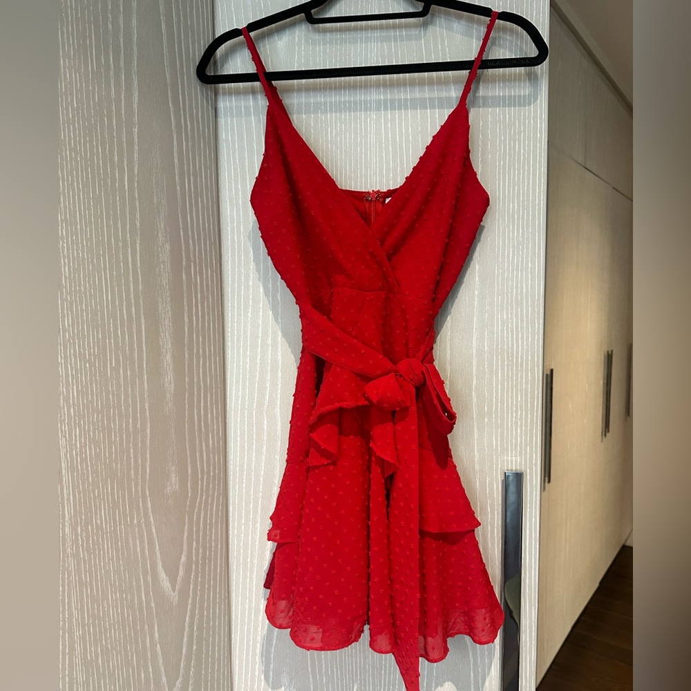 Adorable Meshki Mini Dress Size Small